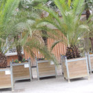 DSCN0608_JPG-1365808727