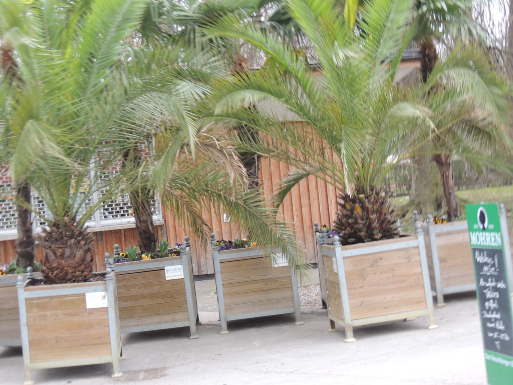 DSCN0608_JPG-1365808727