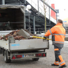 DSCN7259_JPG-1365808625