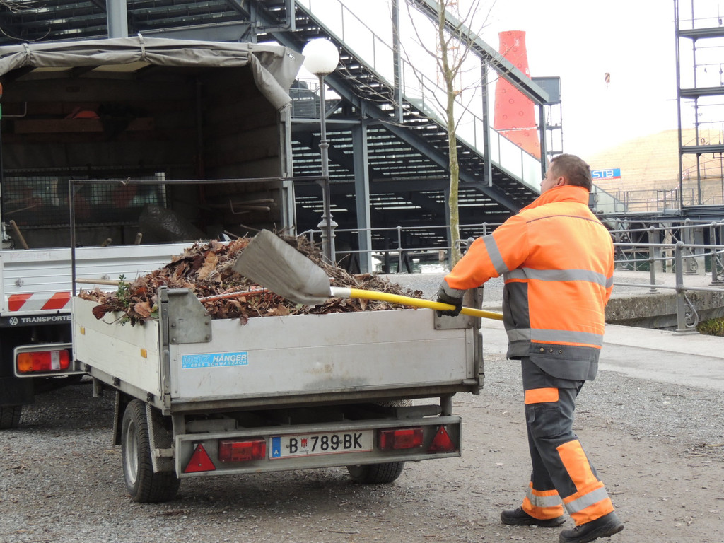 DSCN7259_JPG-1365808625