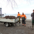 DSCN7261_JPG-1365808633