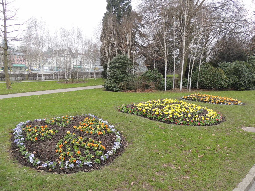 DSCN0602_JPG-1365808715