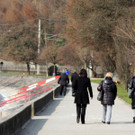 DSCN7288_JPG-1365809310