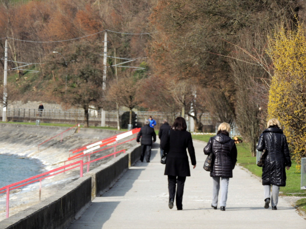 DSCN7288_JPG-1365809310