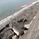 DSCN7307_JPG-1365809345