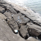 DSCN7305_JPG-1365809337