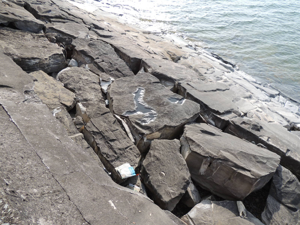 DSCN7305_JPG-1365809337