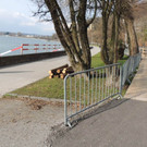 DSCN7309_JPG-1365809347