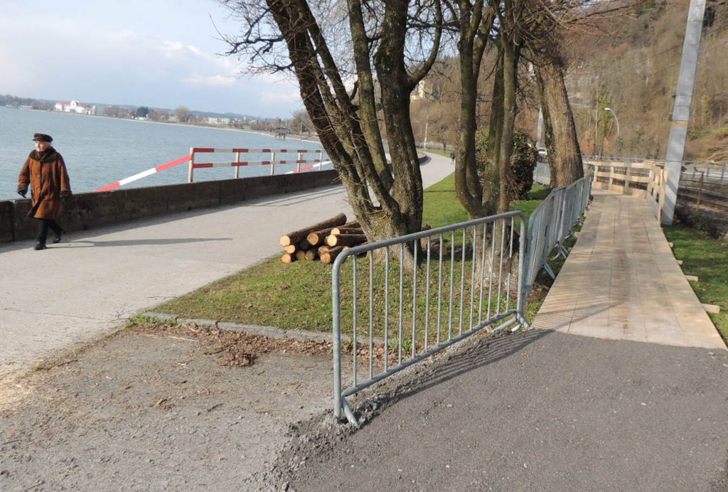 DSCN7309_JPG-1365809347