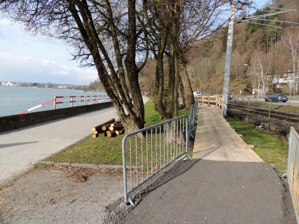 DSCN7310_JPG-1365809350