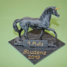 DSC_3135_JPG-1365882455