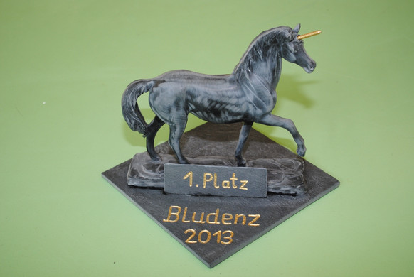 DSC_3135_JPG-1365882455