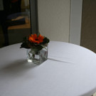 IMG_6773_JPG-1365956727