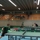 IMG_0528_JPG-1365965759