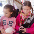 Spiele8Zoo_jpg-1365969677