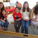 Spiele46Zoo_jpg-1365969757