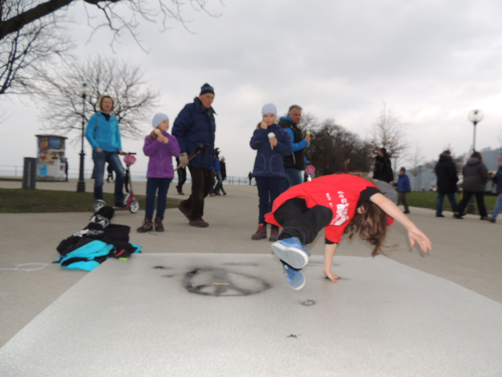 DSCN1248_JPG-1365979216