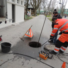 DSCN1095_JPG-1365979557