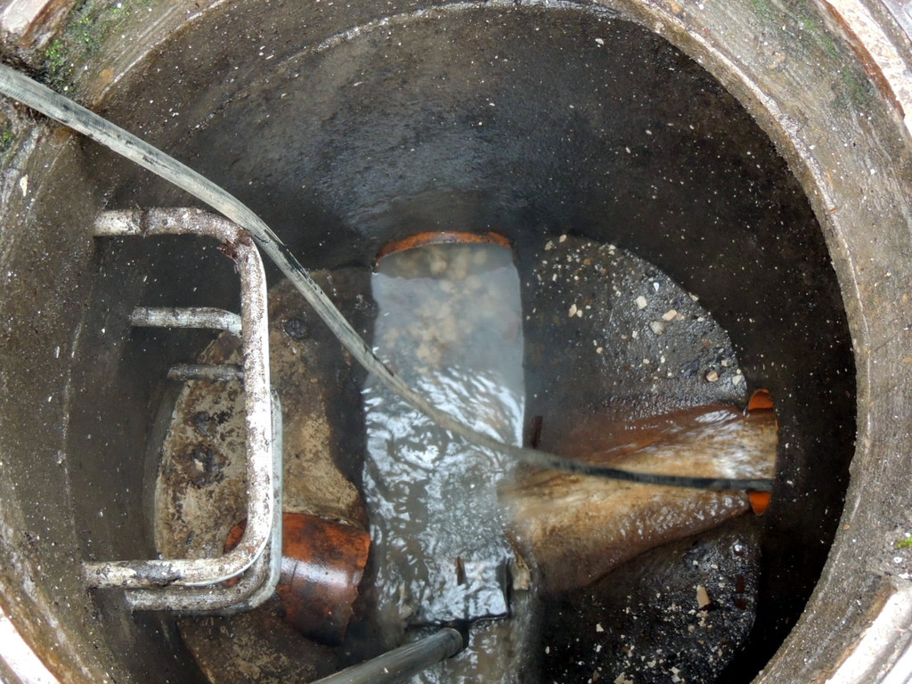 DSCN1105_JPG-1365979574