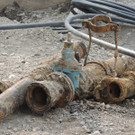 DSCN9683_JPG-1365980157