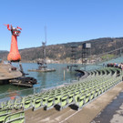 DSCN1806_JPG-1365980390