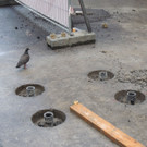 DSCN1946_JPG-1365981688