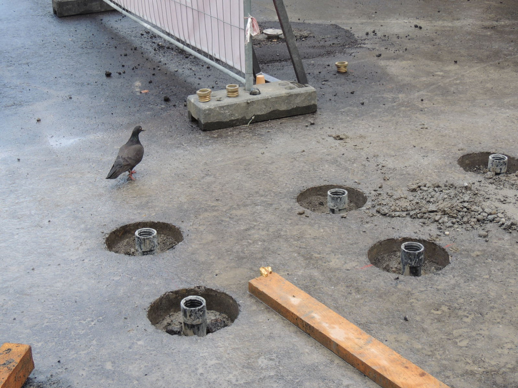 DSCN1946_JPG-1365981688