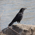 DSCN3308_JPG-1365982397