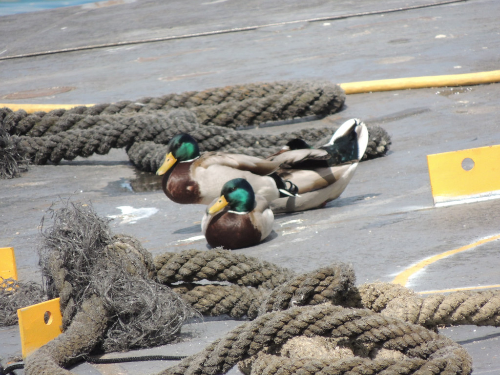 DSCN3140_JPG-1365982359