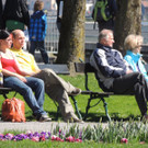 DSCN3929_JPG-1365982542