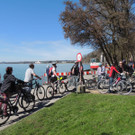 DSCN4224_JPG-1365985001