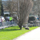 DSCN4245_JPG-1365985033