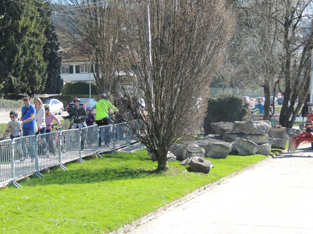 DSCN4245_JPG-1365985033