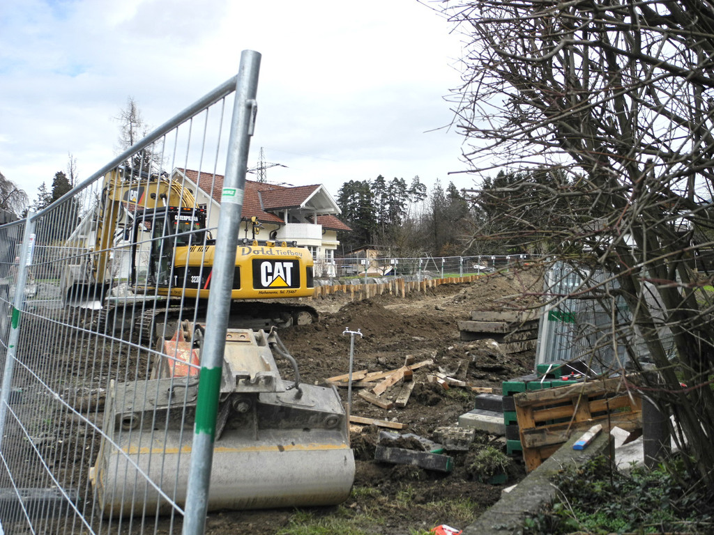 DSCN2344_JPG-1366003140