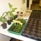 P1020222_JPG-1366009706