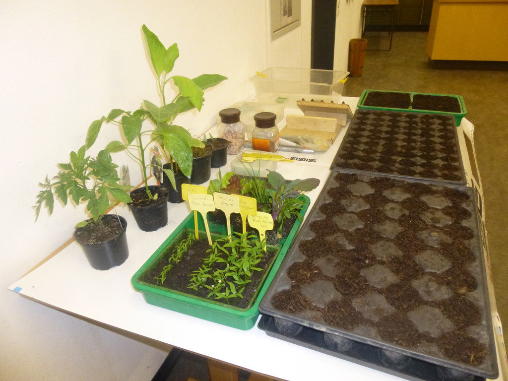 P1020222_JPG-1366009706