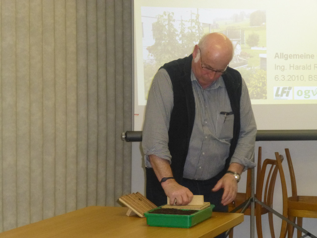 P1020232_JPG-1366009910