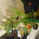 P1020234_JPG-1366009977