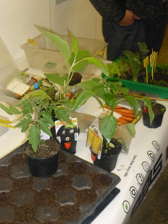 P1020234_JPG-1366009977