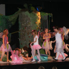 IMG_7087_JPG-1366012409