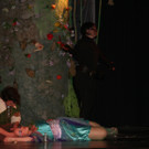 IMG_7098_JPG-1366012433