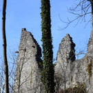 Ruine Neuburg08.JPG