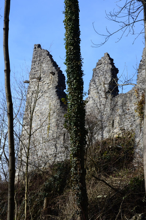Ruine Neuburg08.JPG
