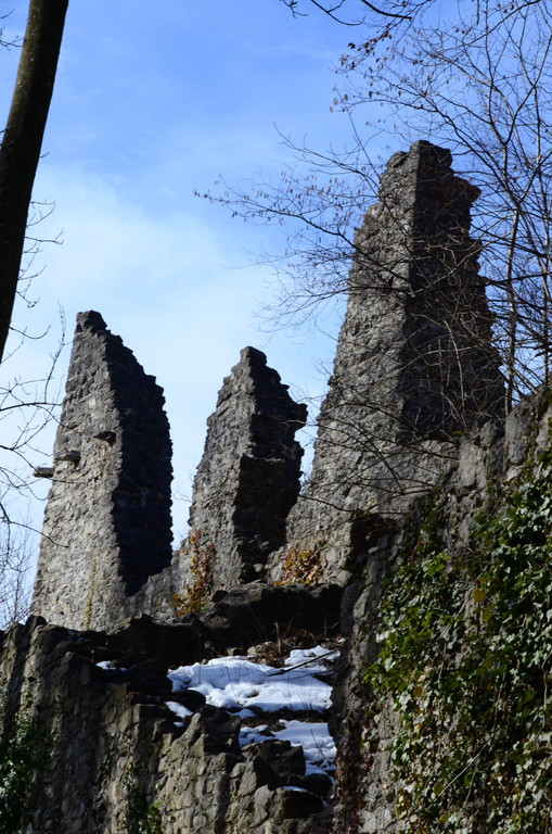 Ruine Neuburg11.JPG