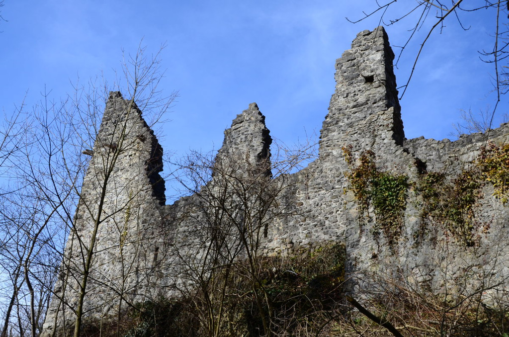 Ruine Neuburg12.JPG