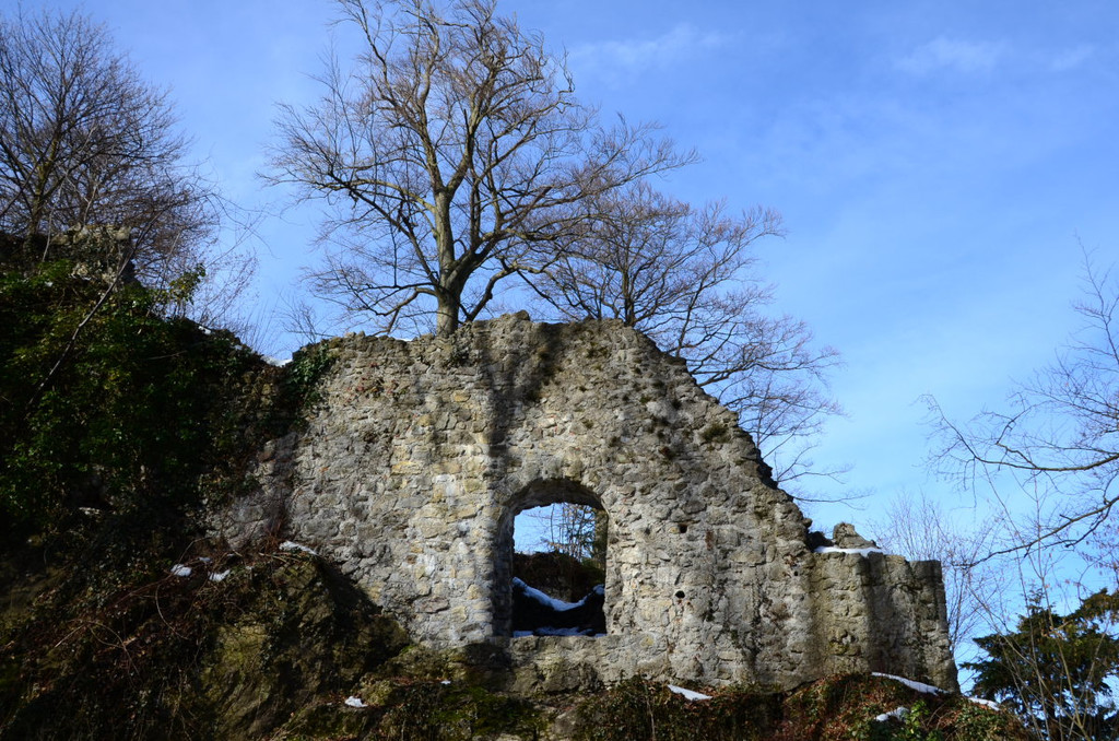 Ruine Neuburg24.JPG