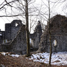 Ruine Neuburg48.JPG