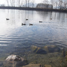 DSC03319_JPG-1366016907