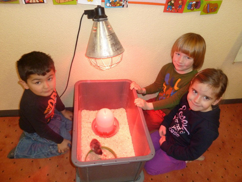 P1150237.JPG