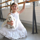 DSC_0016aa.jpg